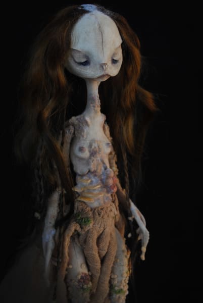 Anura saprophyte by Karly Perez, Image 4.