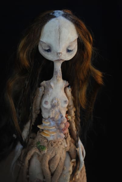 Anura saprophyte by Karly Perez, Image 6.