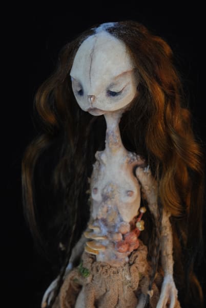 Anura saprophyte by Karly Perez, Image 5.