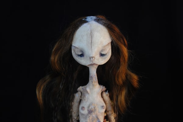 Anura saprophyte by Karly Perez, Image 7.