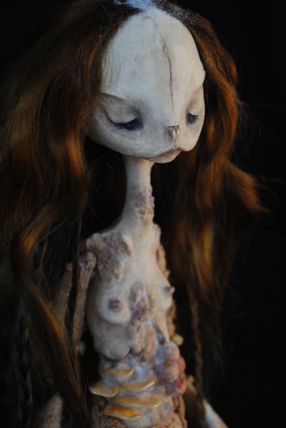 Anura saprophyte by Karly Perez, Image 10.