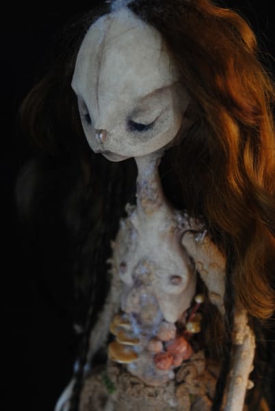 Anura saprophyte by Karly Perez, Image 8.