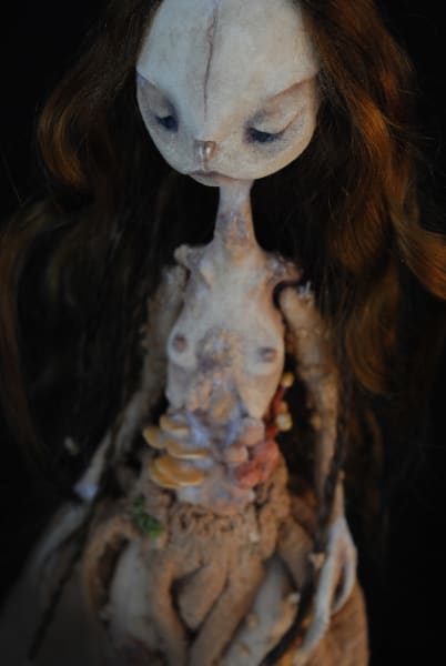 Anura saprophyte by Karly Perez, Image 9.