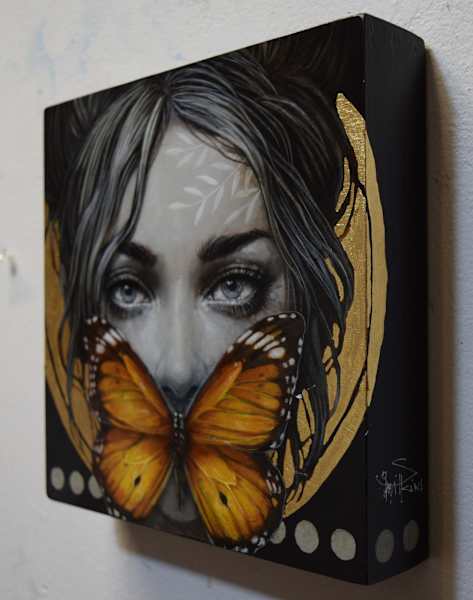 Butterfly 2 by Sophie Wilkins, Image 2.