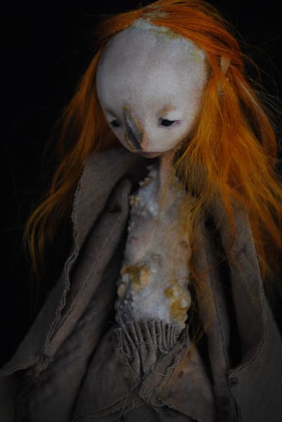 Chiroptera mycorrhiza by Karly Perez, Image 2.