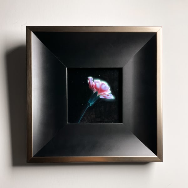 Carnation by Ling Ly, Image 1.