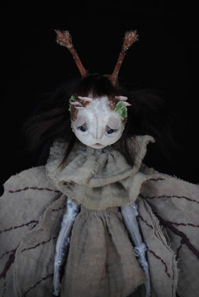 Lepidoptera saprophyte by Karly Perez, Image 4.