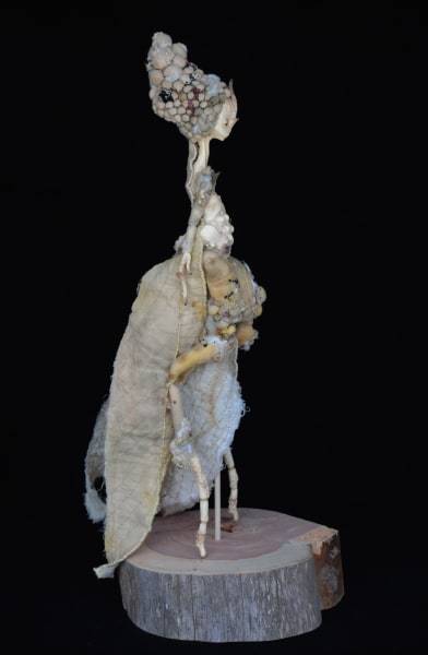 Mantodea mycorrhiza by Karly Perez, Image 3.