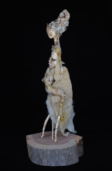 Mantodea mycorrhiza by Karly Perez, Image 2.