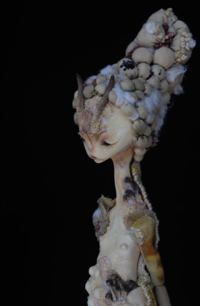 Mantodea mycorrhiza by Karly Perez, Image 4.