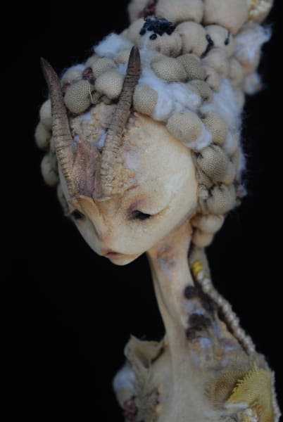 Mantodea mycorrhiza by Karly Perez, Image 5.