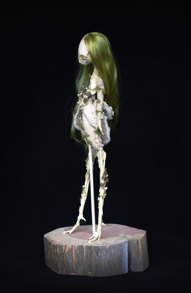 Ornithurae saprophyte by Karly Perez, Image 2.