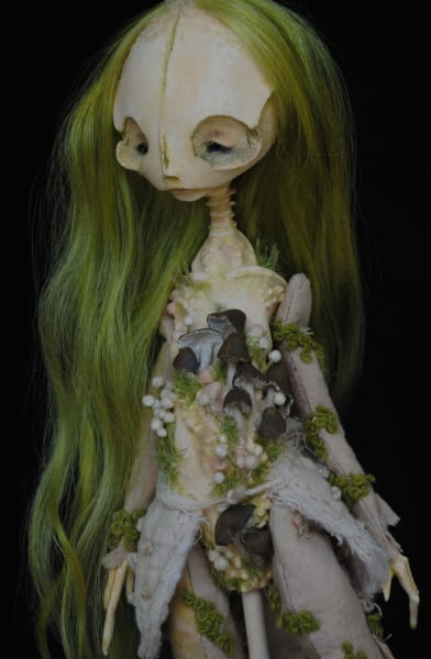 Ornithurae saprophyte by Karly Perez, Image 5.
