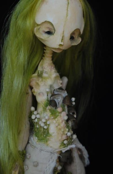 Ornithurae saprophyte by Karly Perez, Image 6.