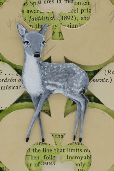 Cervatillo del Jardín by Valerie Savarie, Image 2.