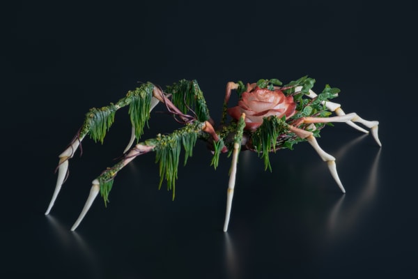 The aesthetics of contradiction by Karun Roma 