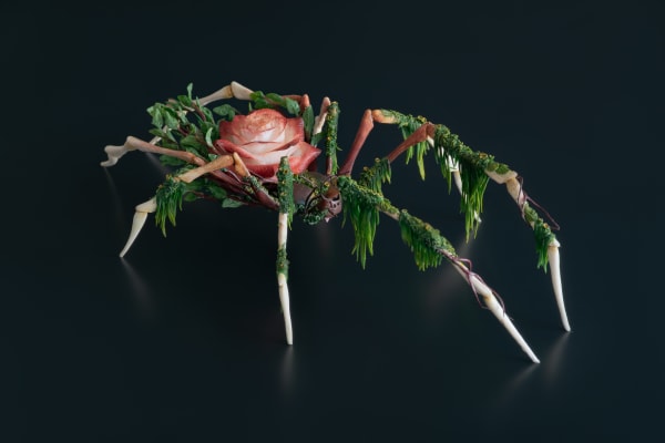 The aesthetics of contradiction by Karun Roma 