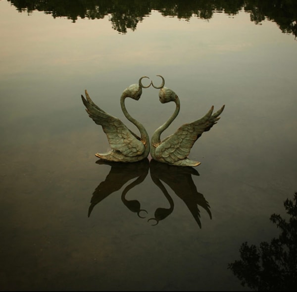 Swans by Scott Radke, Image 2.