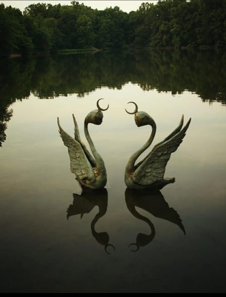 Swans by Scott Radke, Image 1.