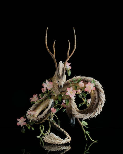 Dancing with the wind by Karun Roma, Image 1.