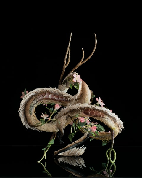 Dancing with the wind by Karun Roma, Image 2.