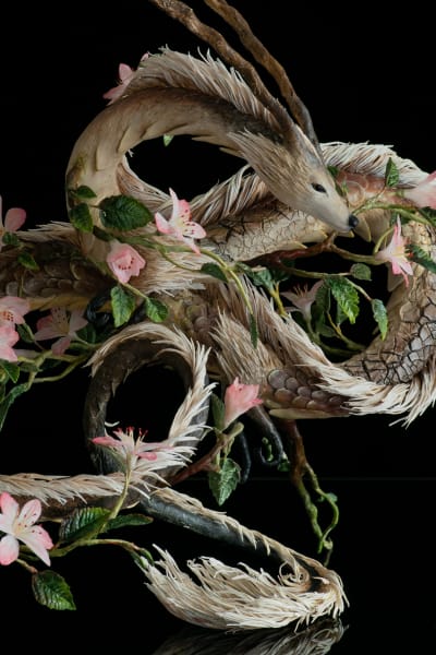 Dancing with the wind by Karun Roma, Image 7.