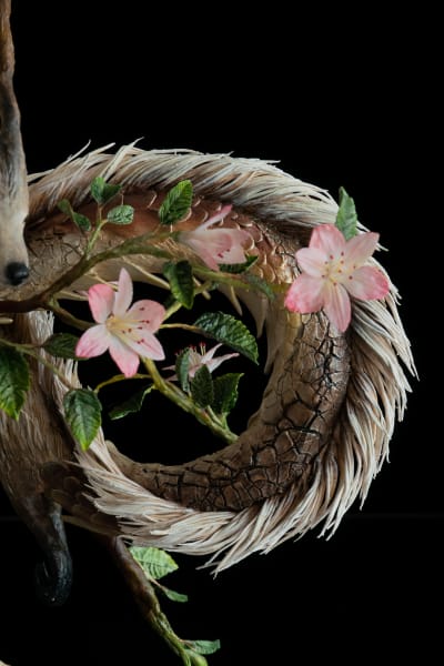 Dancing with the wind by Karun Roma, Image 5.