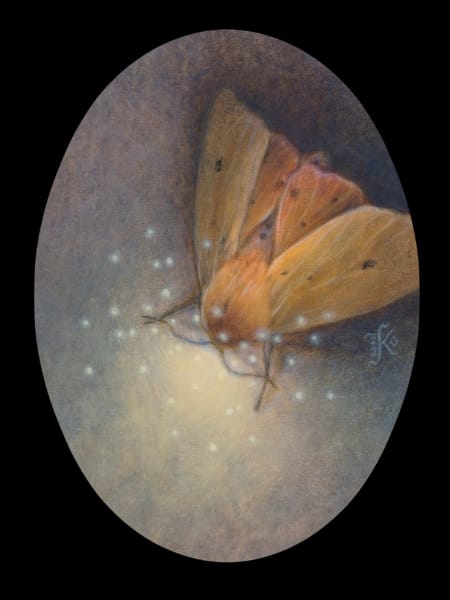 Isabella Hawk Moth by Kaysha Siemens, Image 1.