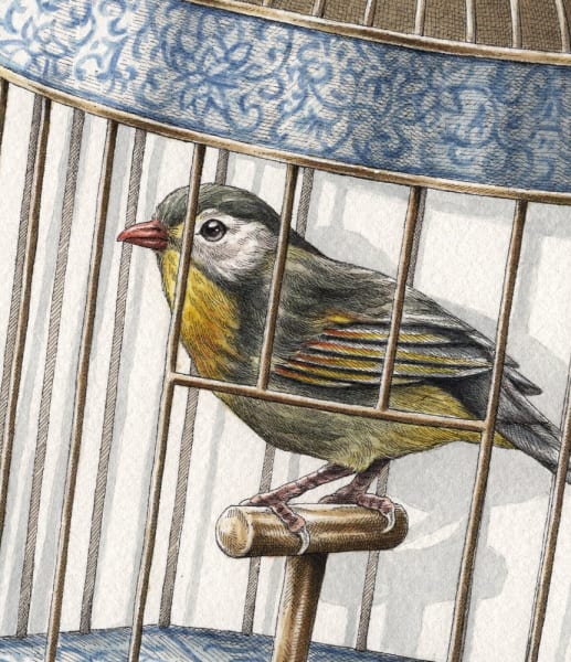 Le Rossignol Asiatique by Steeven Salvat, Image 2.