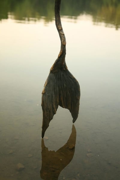 Tiefe by Scott Radke, Image 7.