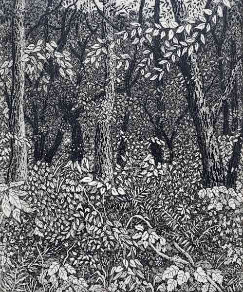 deep in the woods by stephanie Jane Rampton | Artwork Archive