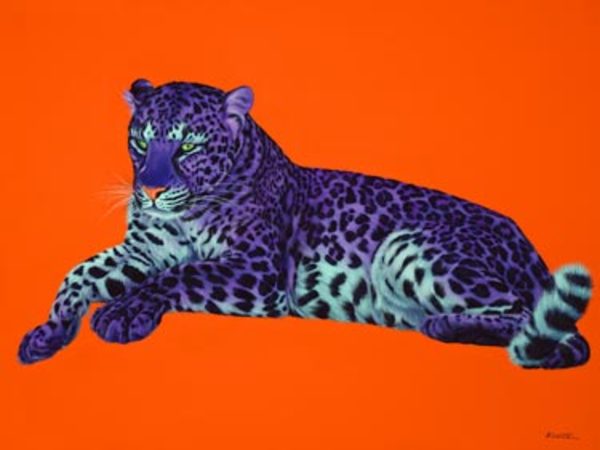 サプール PURPLE LEOPARD HEAD PURPLE LEOPARD ON ORANGE, 2005 by HELMUT KOLLER | Artwork Archive