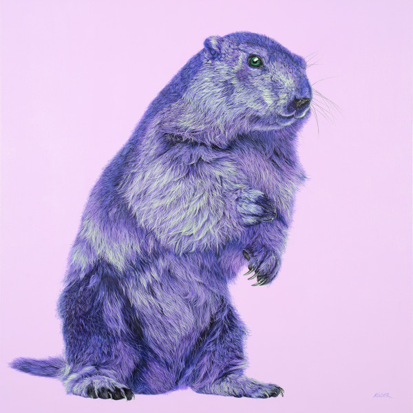 PURPLE MARMOT ON PINK, 2017 by HELMUT KOLLER | Artwork Archive