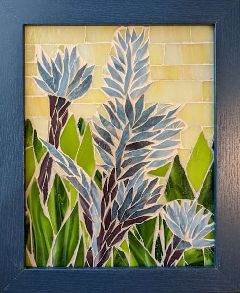 Bromeliad_Protection_framed_fr