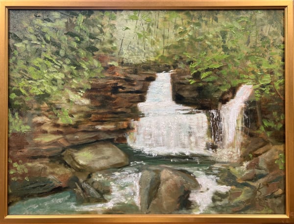 Curtains of Light by Kate Emery 