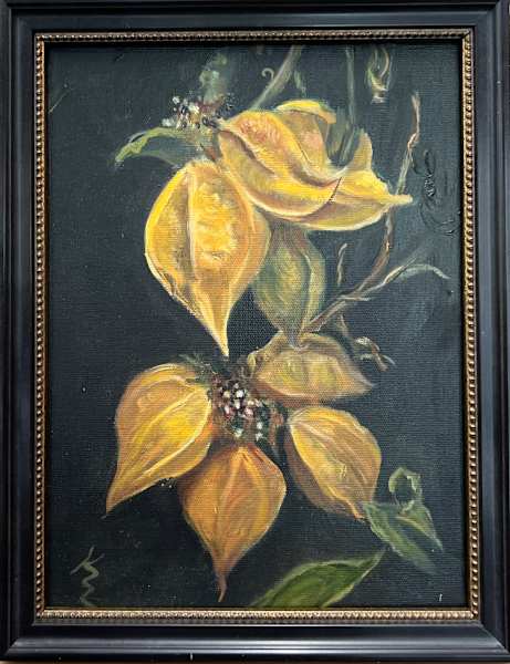 Seed Pods by Kate Emery 