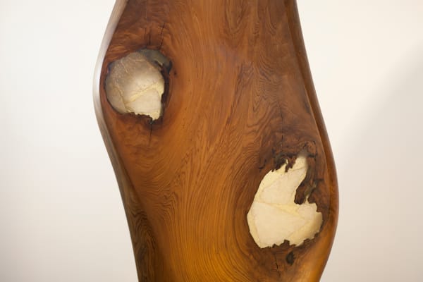 Sensuous Cypress by Rigsby Frederick 