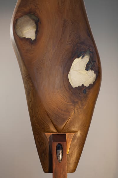 Sensuous Cypress by Rigsby Frederick 