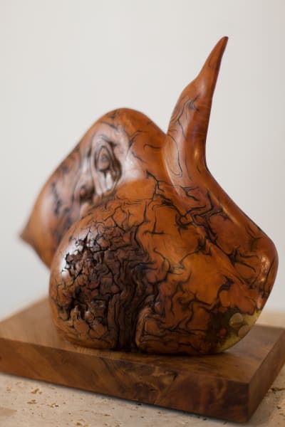 Loon by Rigsby Frederick 