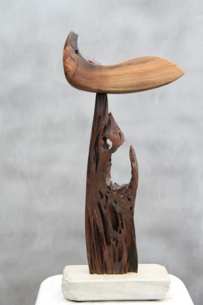 Indian Cypress by Rigsby Frederick 