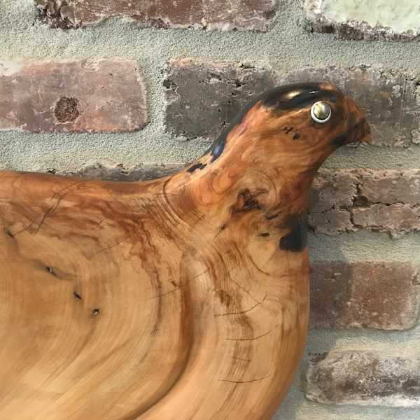 Soaring Falcon by Rigsby Frederick 