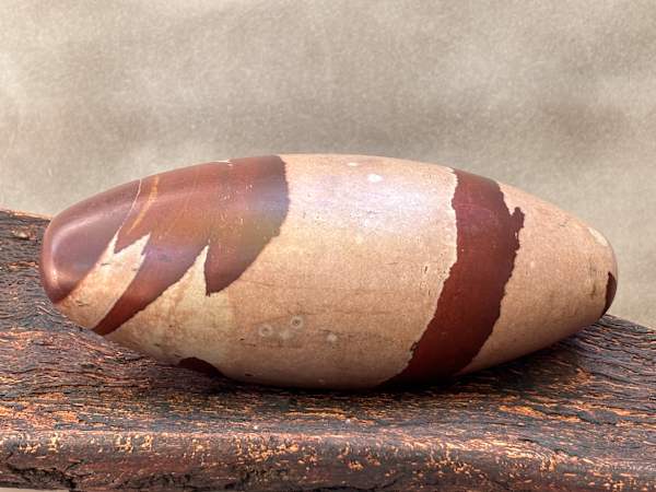 Lord Shiva by Rigsby Frederick 