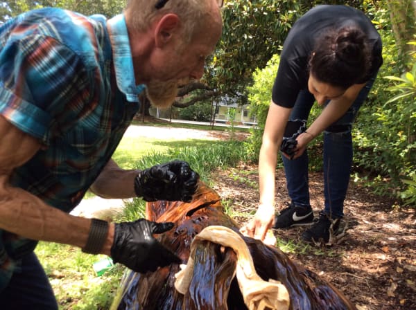 Water Trails by Rigsby Frederick 