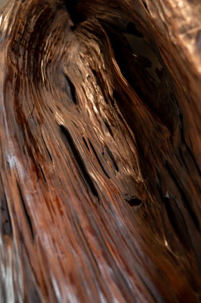 Water Trails by Rigsby Frederick 