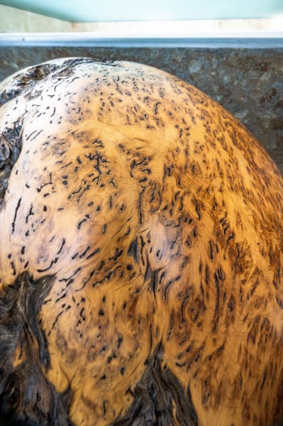 Mother and Child, No. 2 by Rigsby Frederick 