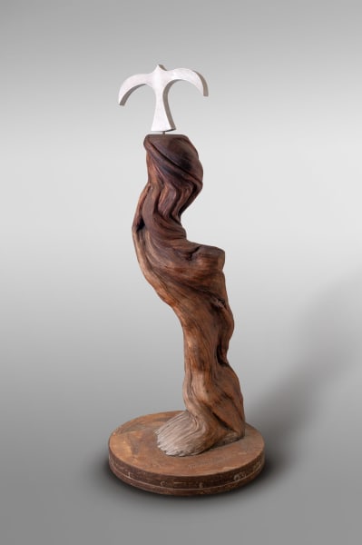 Twisted Dove by Rigsby Frederick  Image: Prior to "rejuvenation."