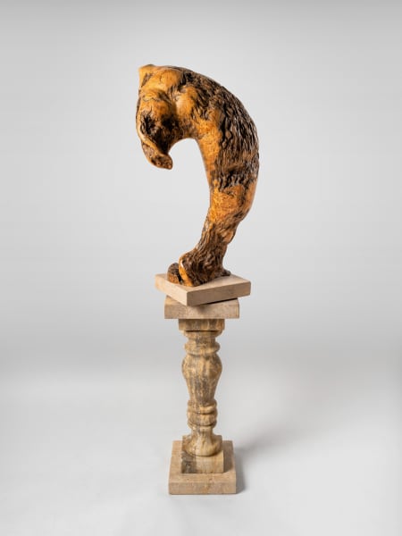 Dancer by Rigsby Frederick 