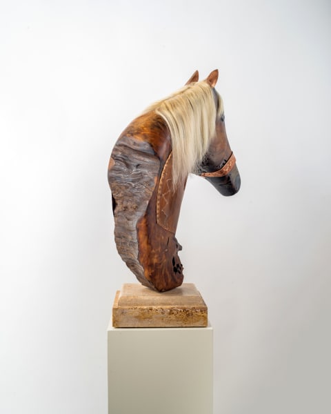 War Horse by Rigsby Frederick 