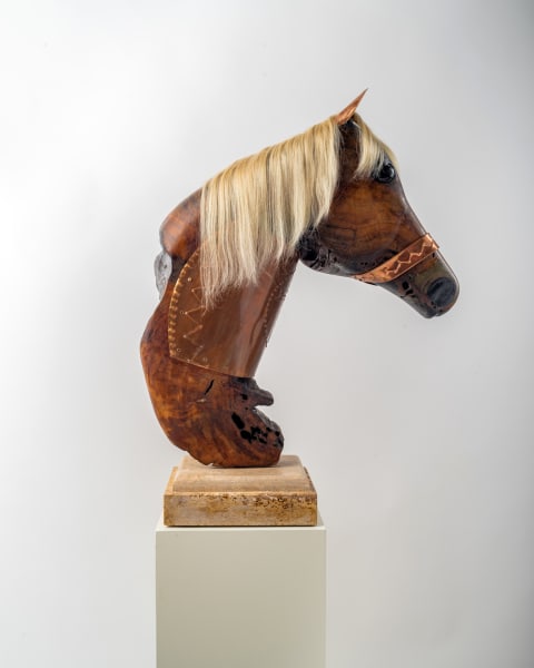 War Horse by Rigsby Frederick 