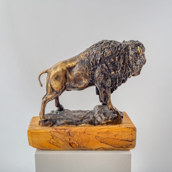 The Bull by Rigsby Frederick 